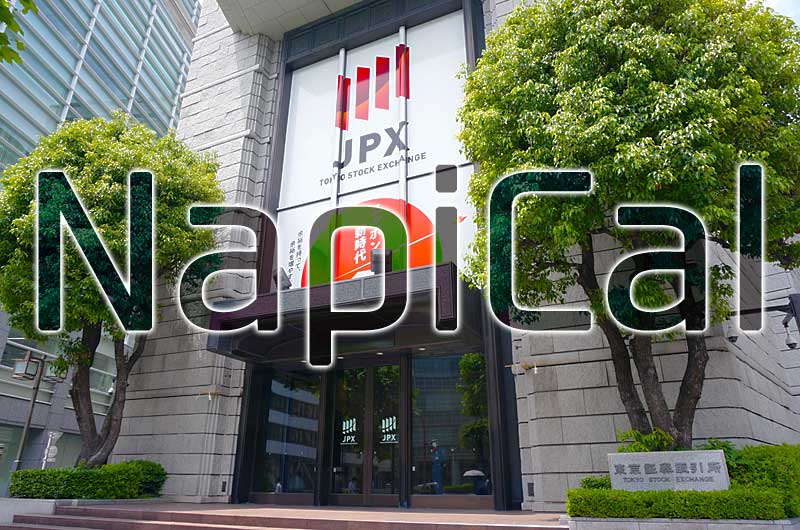 ナンピン買付適性株価計算ツール NapiCal (ナピカル)のイメージ