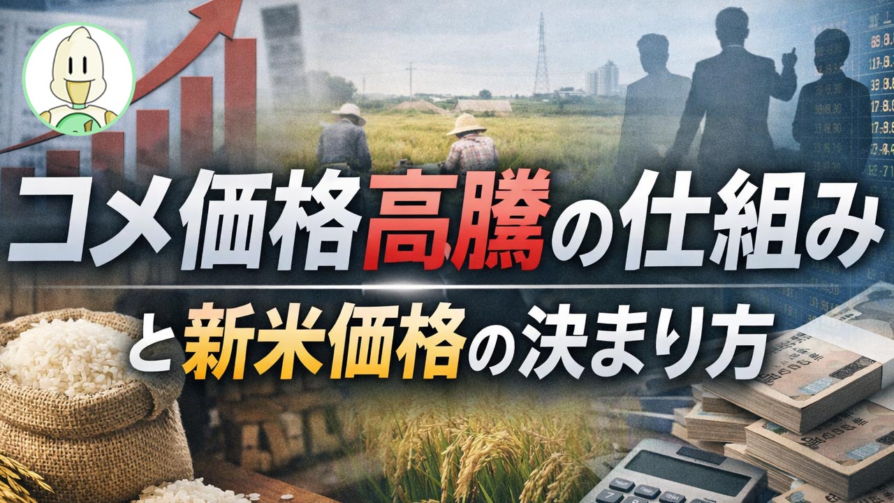 コメ価格高騰の仕組みと新米価格の決まり方のイメージ